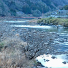成羽川
