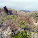 天神山4
